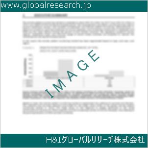 グローバルリサーチ調査資料のイメージ
